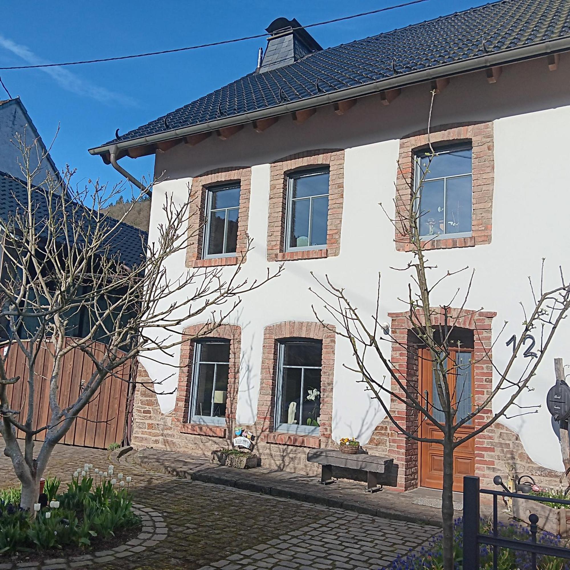Willa Eifler Brunnenhaus Dumpelfeld Zewnętrze zdjęcie
